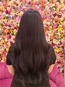 Highlights After